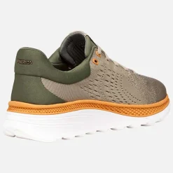 Sneakers GEOX