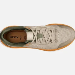 Sneakers GEOX